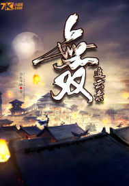 無雙追雲錄小說