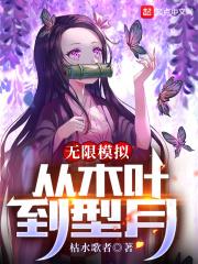 無限模擬：從木葉到型月小說