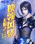 無限之獨領風騷小說