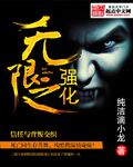 無限之強化小說