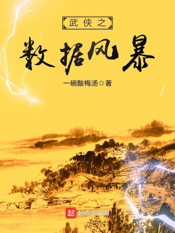 武俠之數據風暴小說
