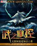 武之掌控小說