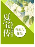 夏寶傳小說