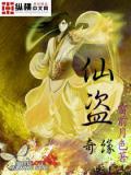 仙盜奇緣小說