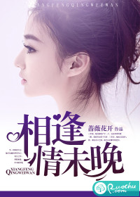 相逢情未晚小說