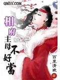 相府主母不好當小說