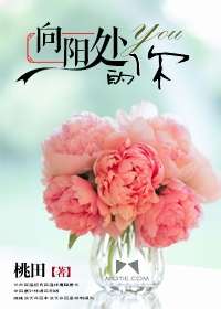 向陽處的你小說