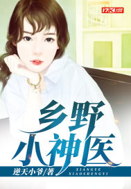 鄉野小神醫小說