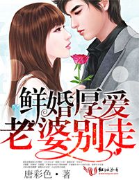 鮮婚厚愛，老婆別走小說