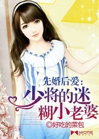 先婚後愛：少將的迷糊小老婆小說