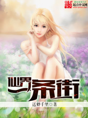 仙界一條街小說