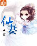 仙妻小說