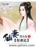 仙妻佷難追小說