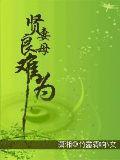 賢妻良母難爲小說