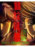 仙紋風暴小說