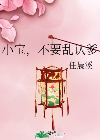 小寶，不要亂認爹小說