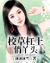 校草槓上俏丫頭小說