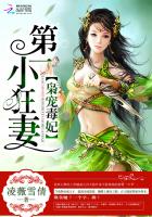梟寵毒妃:第一小狂妻小說