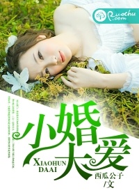 小婚大愛小說