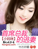 小媽咪：首席總裁的逃妻小說