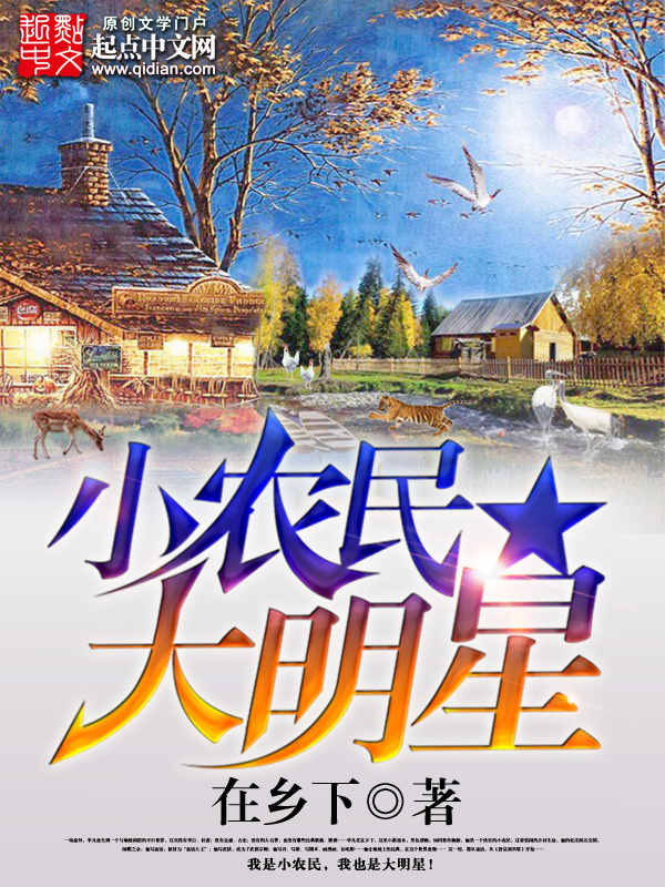 小農民大明星小說