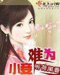 小妾難爲小說