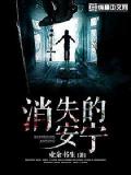 消失的安寧小說