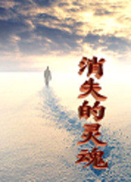 消失的靈魂小說