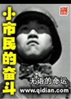 小市民的奮鬥小說