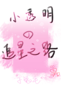 小透明的追星之路小說