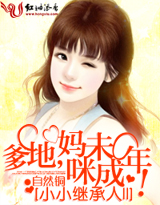 小小繼承人ⅱ:爹地,媽咪未成年!小說