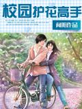 校園護花高手小說