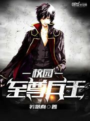 校園至尊兵王小說