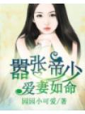 囂張帝少愛妻如命小說