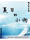 夏日的小雨小說