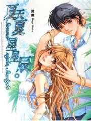夏天夏,星星辰小說