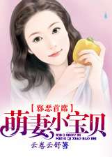 邪惡首席：萌妻小寶貝小說