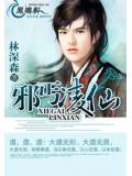 邪丐凌仙小說