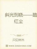 斜光到曉踏紅塵小說