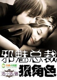 邪魅總裁，狠角色小說