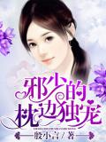 邪少的枕邊獨寵小說