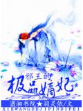 邪王的極品嫡妃小說