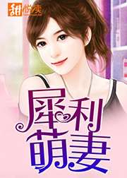 犀利萌妻小說