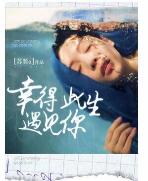 幸得此生遇見你小說