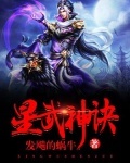 星武神訣小說