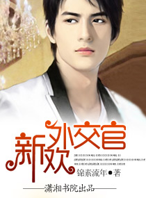 新歡外交官小說