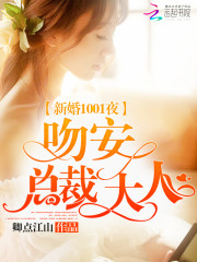 新婚1001夜：吻安，總裁大人小說