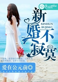 新婚不寂寞小說