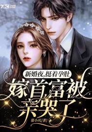 新婚夜，挺着孕肚嫁首富被親哭了小說