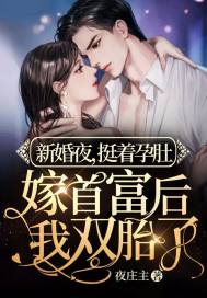 新婚夜，挺着孕肚嫁首富後我雙胎了小說